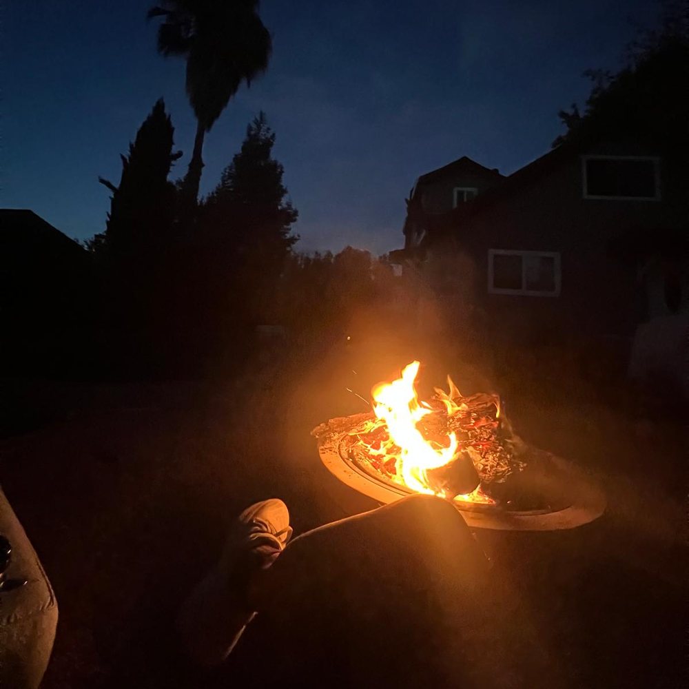 The fire at dusk, a palm against the sky