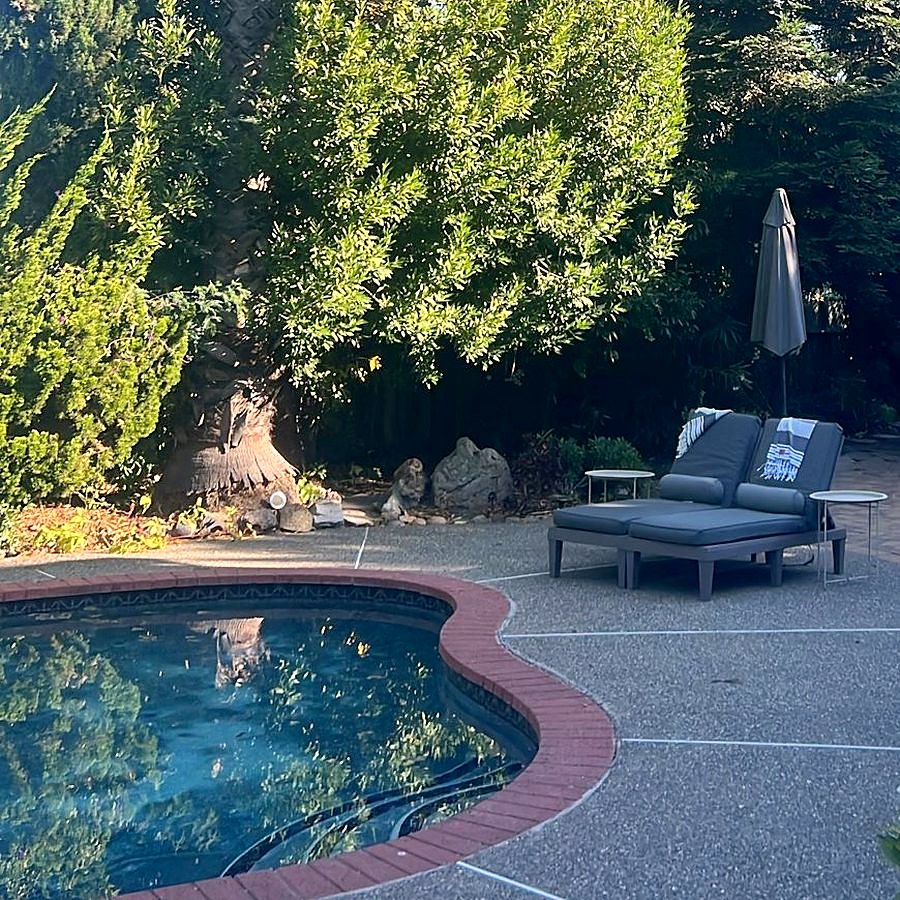 The pool, a palm and two loungers in the afternoon