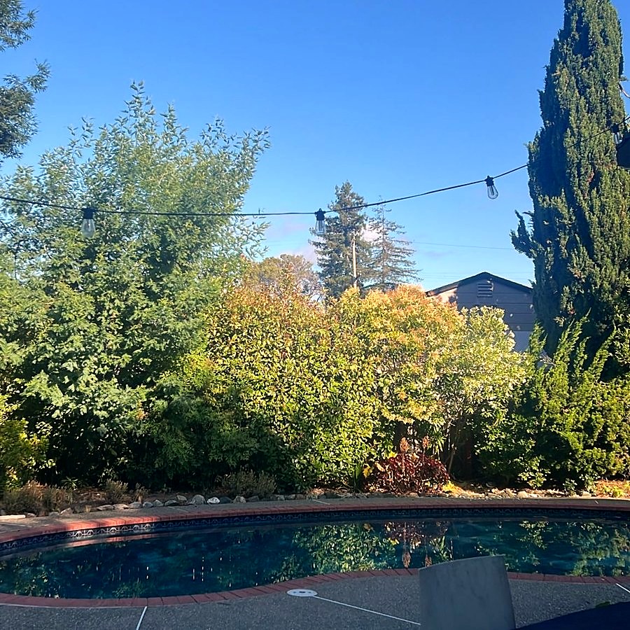 The pool and the garden under a wide blue sky